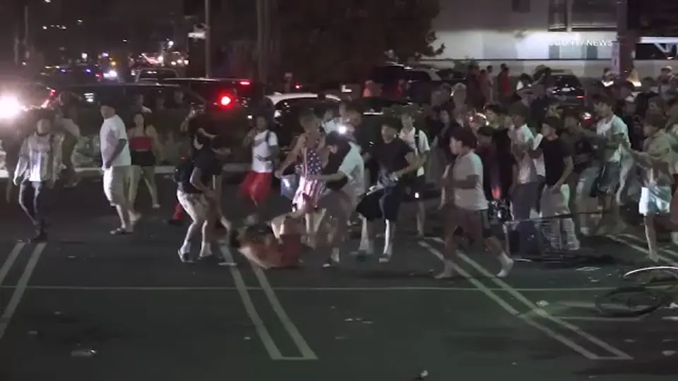 Holiday Gathering in Southern California Turns Disorderly, Over 100 Detained