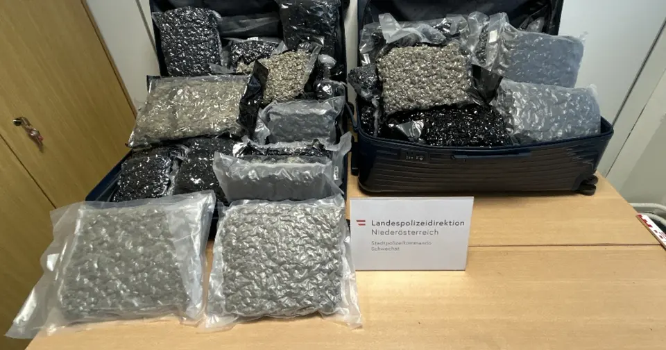 55 Kilo Cannabis am Flughafen Wien: Zwei Kuriere aus Bangkok-Flügen festgenommen