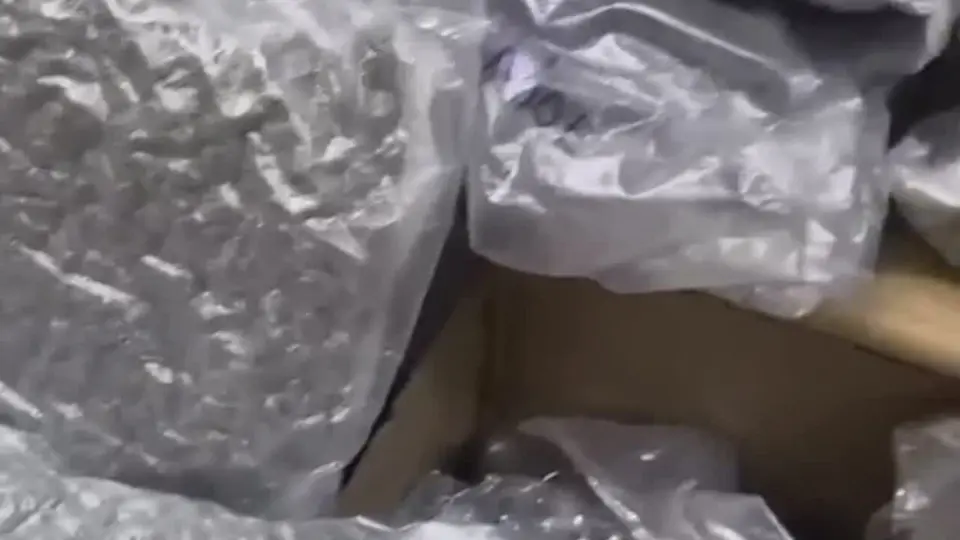 Civitavecchia, camionista bulgaro arrestato con 80 kg di marijuana nascosta tra vestiti