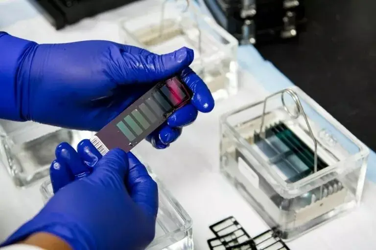 Ανώτατο: Νόμιμο το διάταγμα για DNA σε υπόθεση ναρκωτικών και οπλισμού
