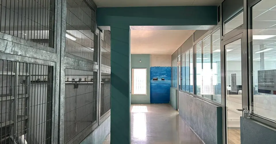 Deux jeunes écopent de peines de prison pour des livraisons de stupéfiants par drone à Fond-Sarail