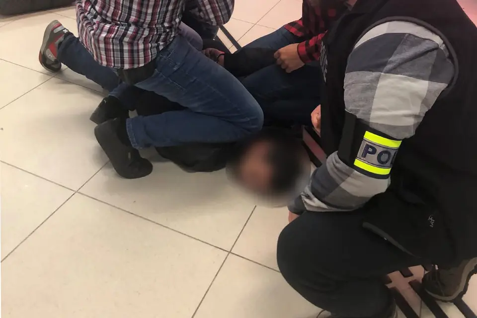 Hungarian man who murdered compatriot with sword in Canada released in Hungary