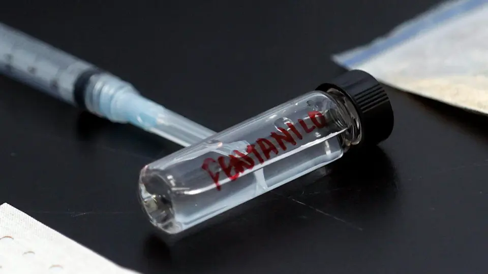 Fentanyl theft in Rome, Carabinieri Special Operations Group: "It is a signal, there is a will to secure supply"