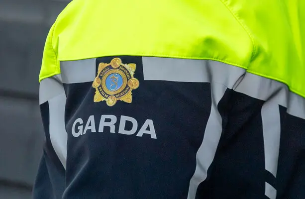 Suspect Faces Court Over Attack on Three Officers in Kildare