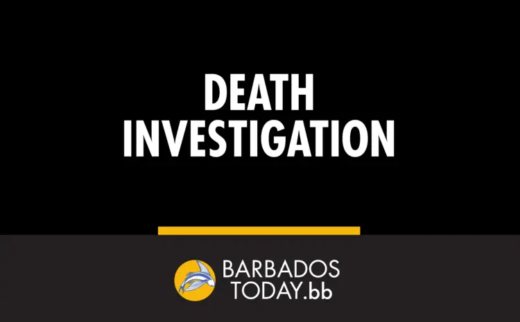 Senior citizen found deceased in car in St John; family member detained