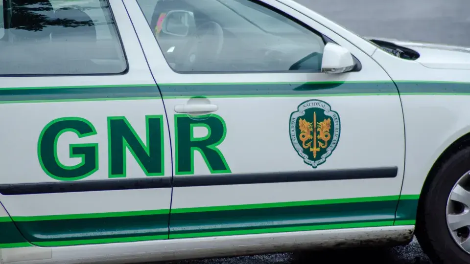 Major GNR operation in Aveiro: 26 arrested and 40 kg of hashish seized