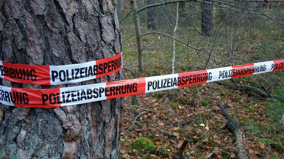 Skelettfund im Nationalpark Hainich: Polizei sucht mit Puppen-Rekonstruktion nach Identität