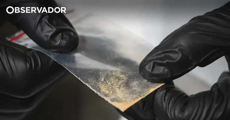 Dois homens em prisão preventiva por tráfico de droga em Odemira