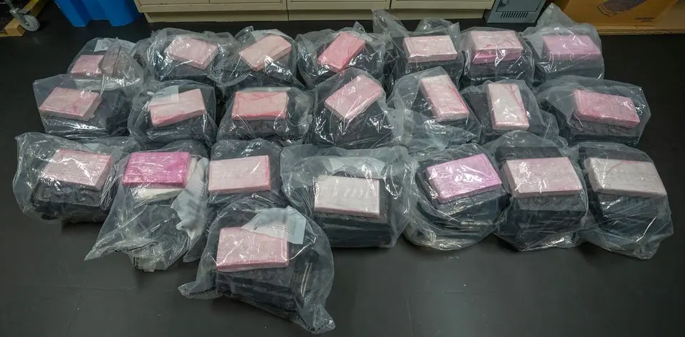 260 kg cocaine and $2.5M cash seized in Kitchener drug bust, 6 charged