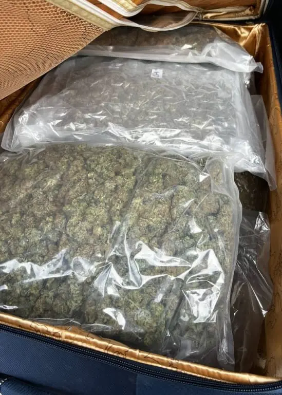 Przemyśl: Two arrested with over 8 kg of cannabis and 0.5 kg of 4-CMC, facing up to 12 years