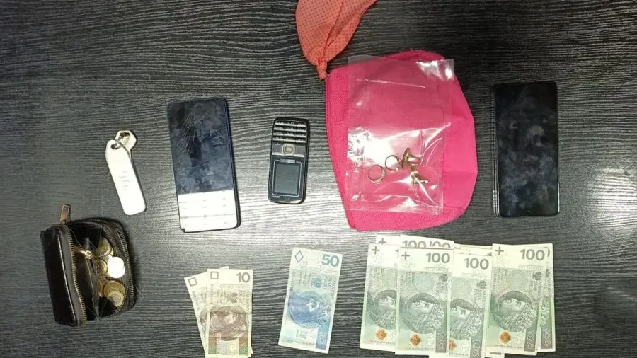 18-latka z Czech aresztowana za oszustwo na seniorce z Rzeszowa