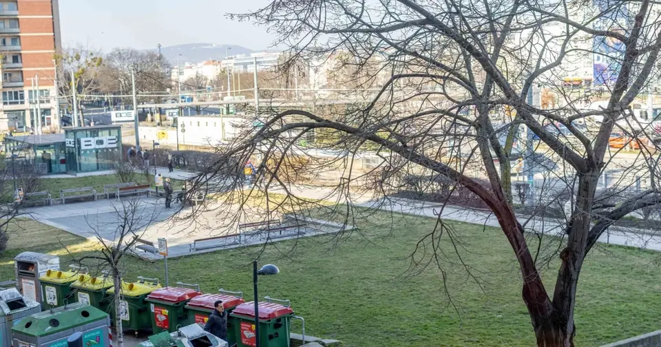 Wien: 21-Jähriger nach mutmaßlicher Vergewaltigung von Minderjähriger in Haft