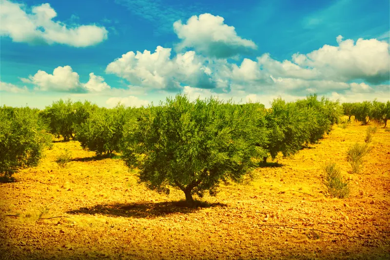 57 convicted in Greece for €1.7 million agricultural subsidy fraud