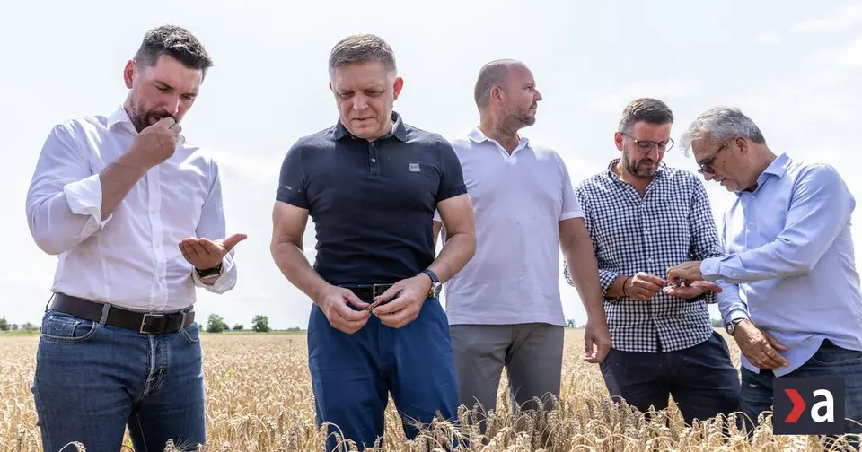 Head of SAI: EU-fund mafias operating in Slovakia
