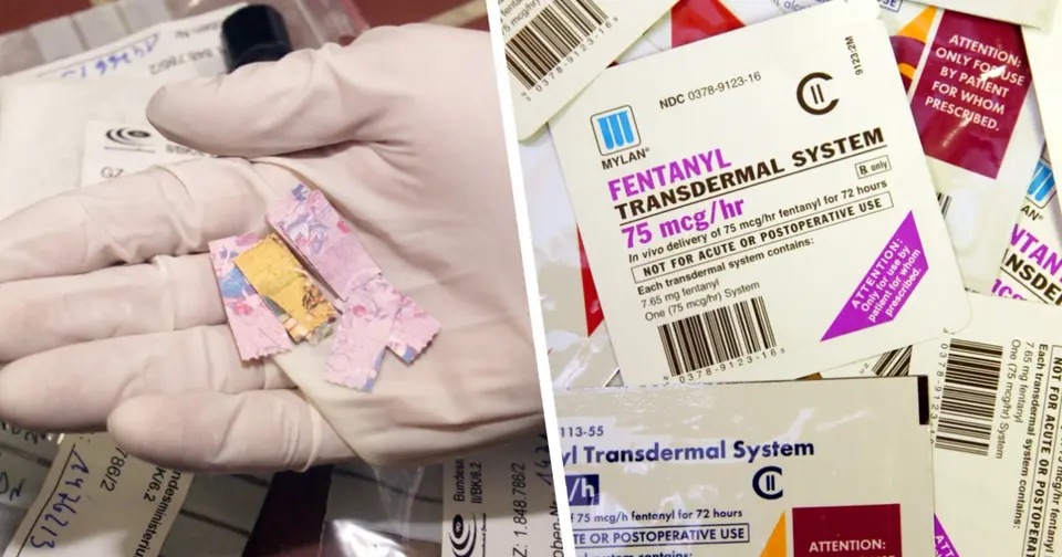 Texas-Professor gestand: Fentanyl gegen Sex – acht Überdosen