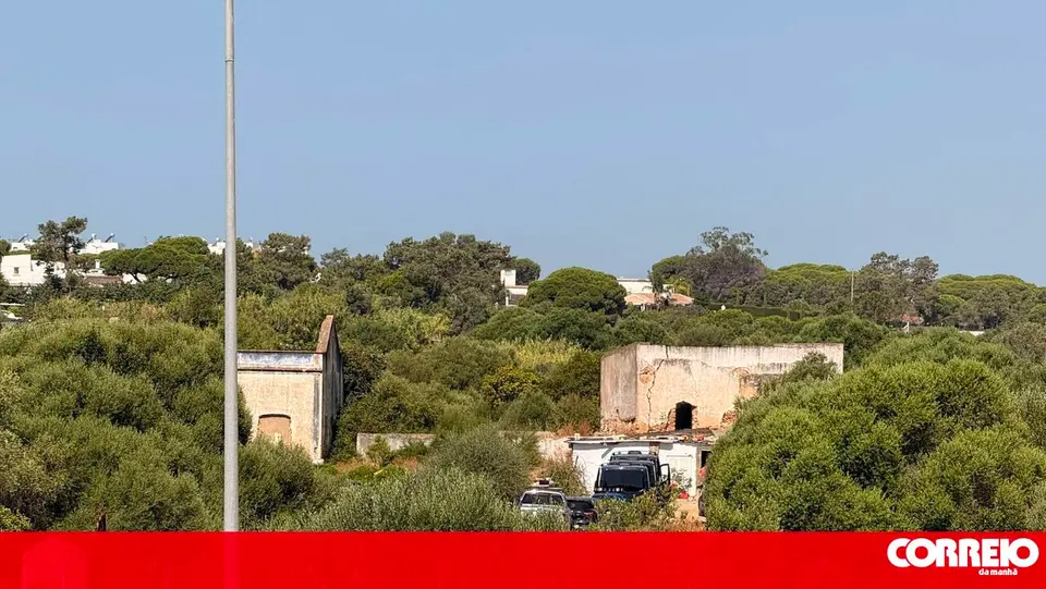 Seis detidos em Algarve por agressões violentas a idosos durante assaltos