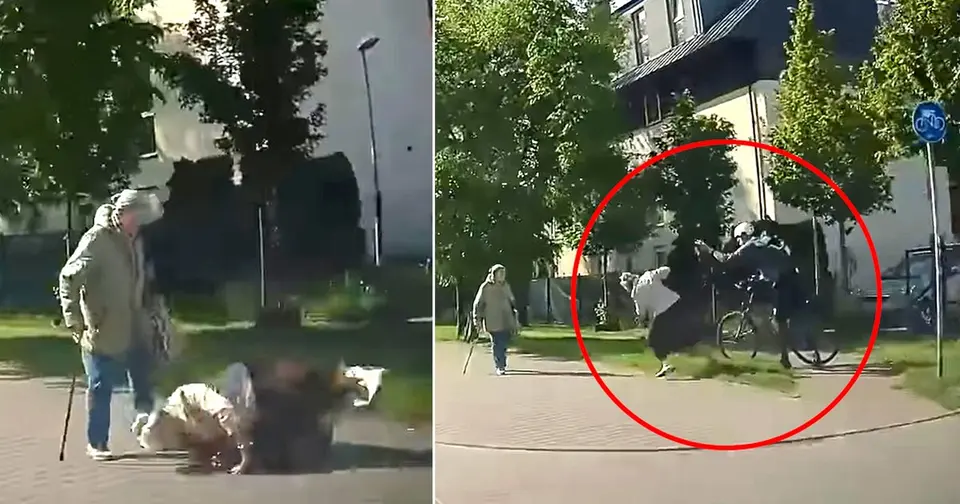 Atak rowerzysty na seniorkę we Wrocławiu – policja ustaliła tożsamość 42-latka