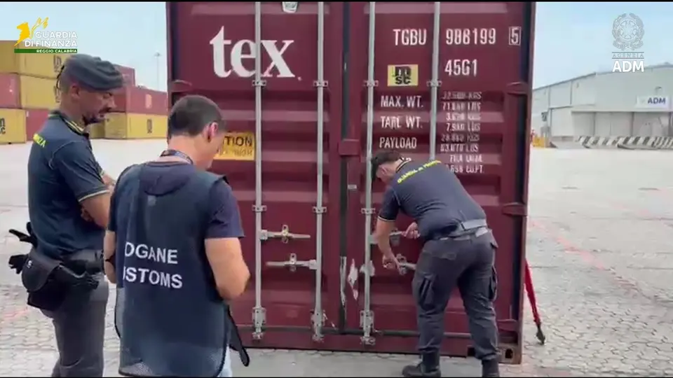 113 kg of pure cocaine seized at Gioia Tauro port worth €20 million