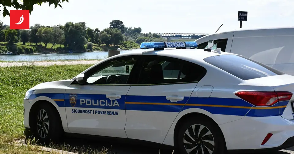 Slavonski Brod woman accused of hiring hitman for family member