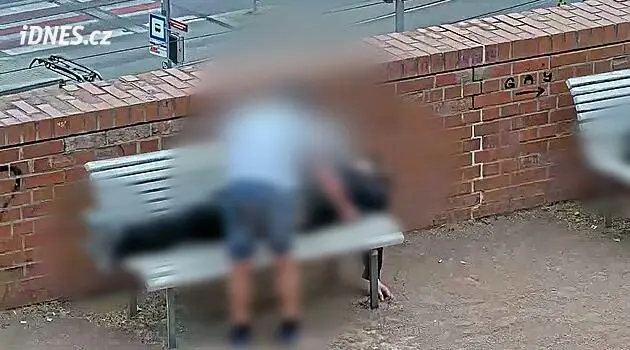Thief robs sleeping man in Denisovy Sady in Brno, city guards apprehend him
