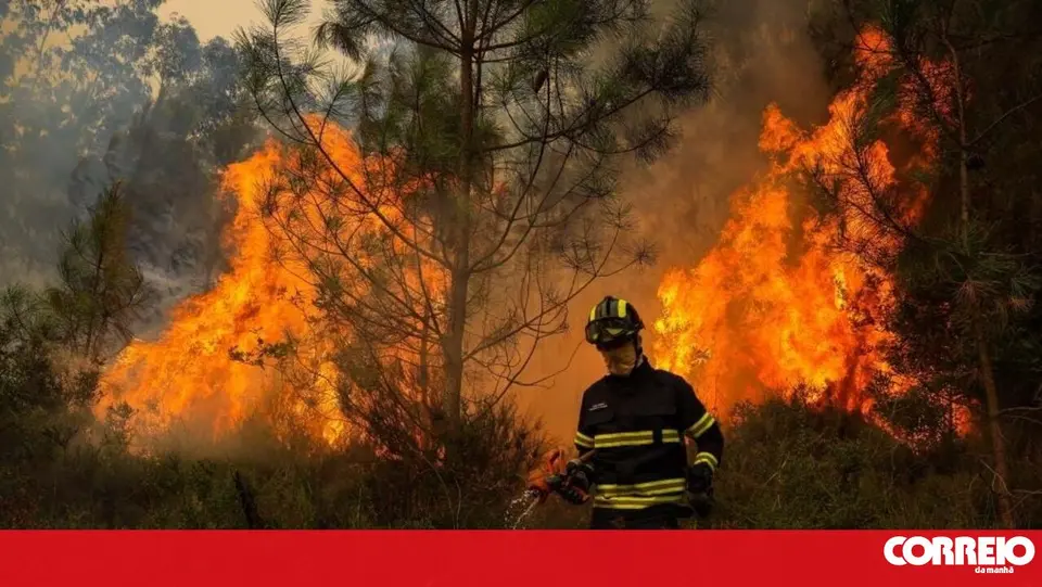 Septuagenária presa pela PJ acusada de atear fogo em floresta de Resende