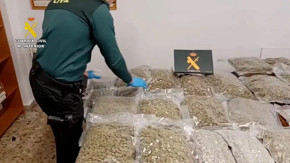 Detenido en Bera con 20 kg de marihuana y 4 kg de hachís tras huir a pie de la Guardia Civil