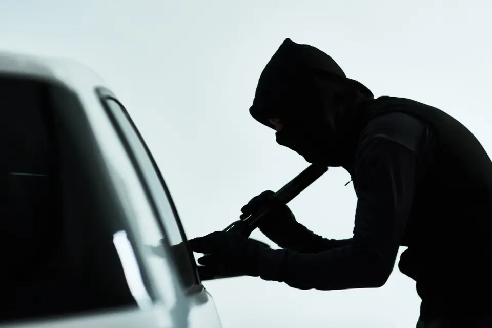 Police dismantle car theft gang. 21 arrested, assets secured