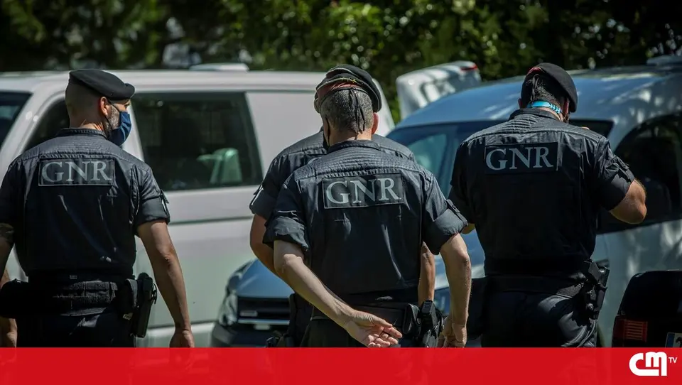 Treze detidos ficam em prisão preventiva após operação antidroga da GNR em Oliveira de Azeméis
