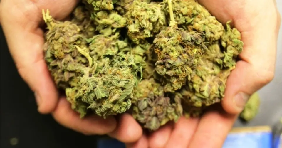 Jemeppe: over 1.5 kg of drugs seized during roadside check, three individuals arrested
