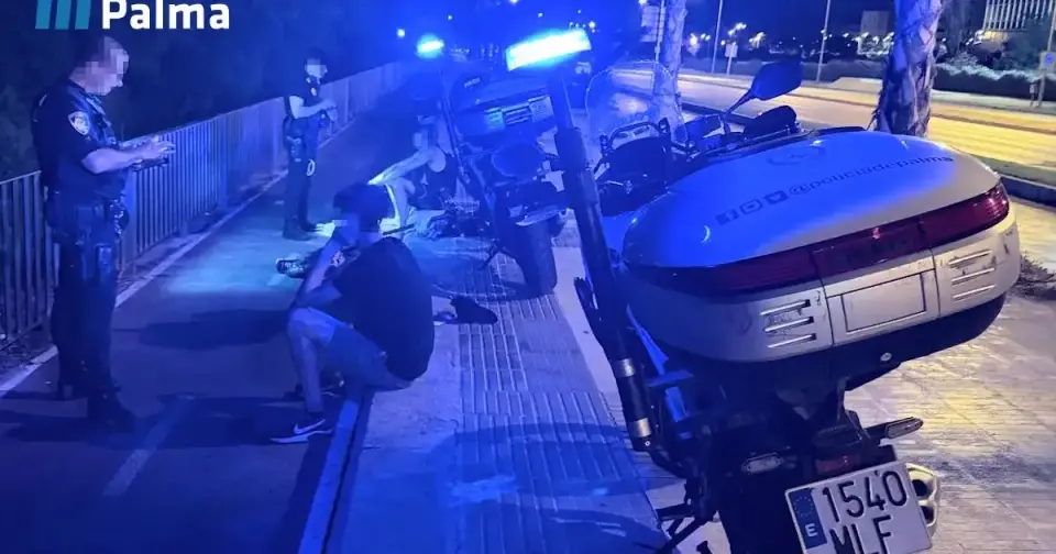 Dos argelinos detenidos por robar a turistas británicos en una playa de Palma