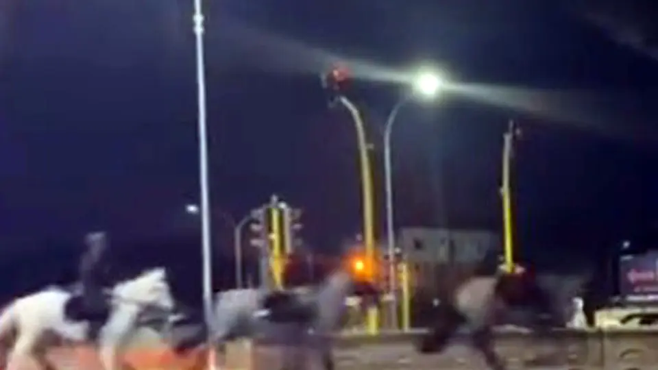 Horses flee in Rome: officer under investigation for setting off fireworks