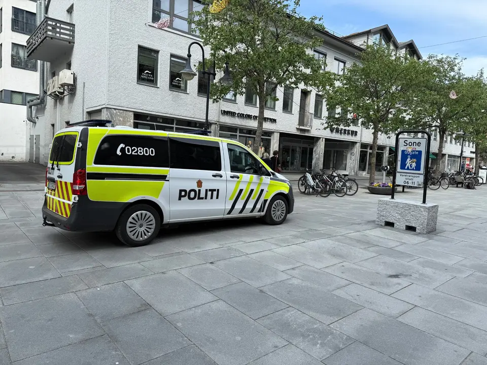 Shop thief assaulted employee twice in temple in Bodø supermarket