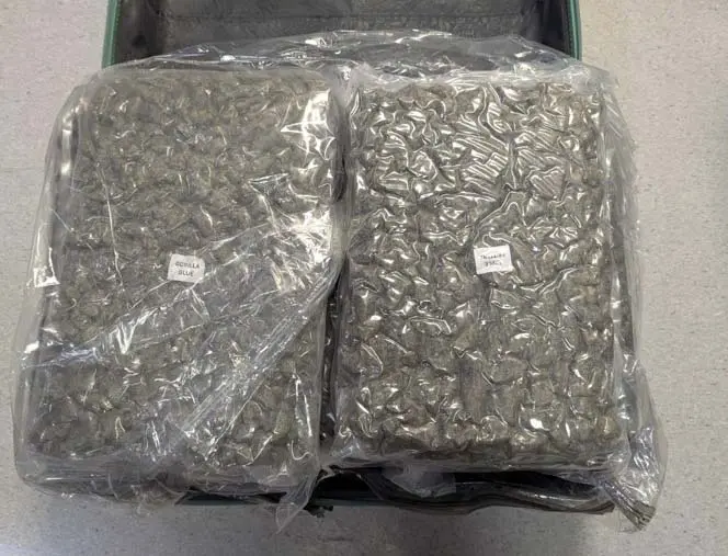 26-year-old loses appeal against 14-year drug sentence