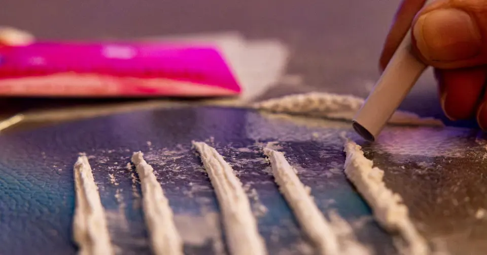 Drug trafficking in Moselle: €900,000 worth of goods seized, seven convicted
