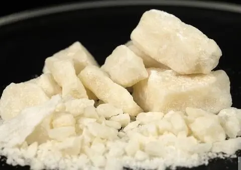 Record drug seizure in Wilhelmshaven: Eight tonnes of cocaine discovered in cocoa bean container
