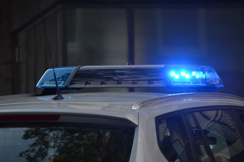 Nine young men arrested for assault and robbery in Paianía park