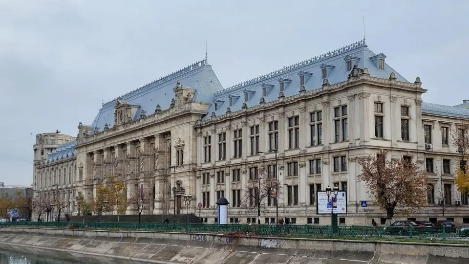 Manager of Bihor care homes, Viorel Pașca, awaits Court of Appeal Bucharest decision on preventive arrest