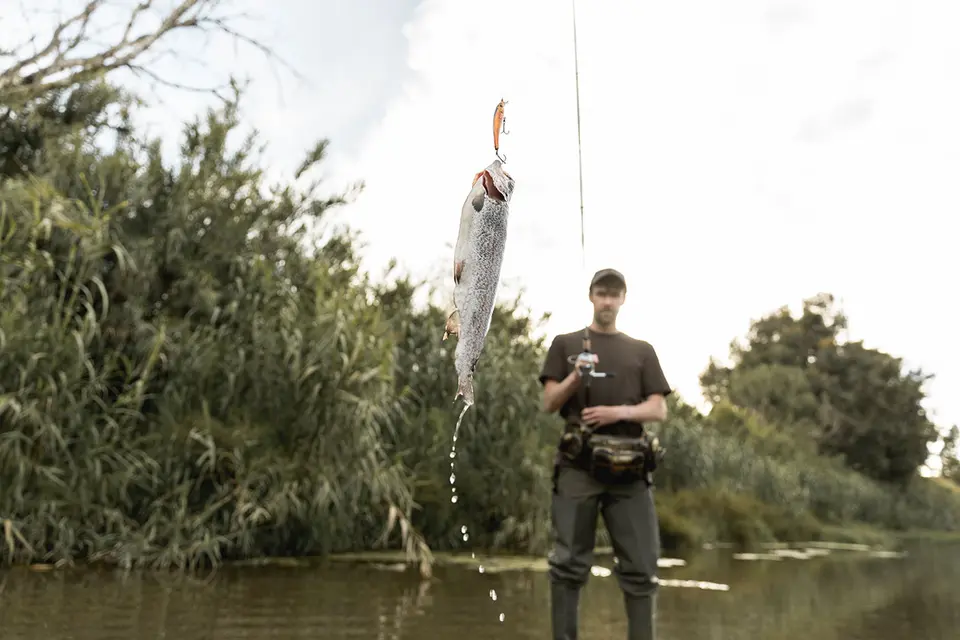 Physical assault on fisheries inspectors in Dunavarsány – angler faces court