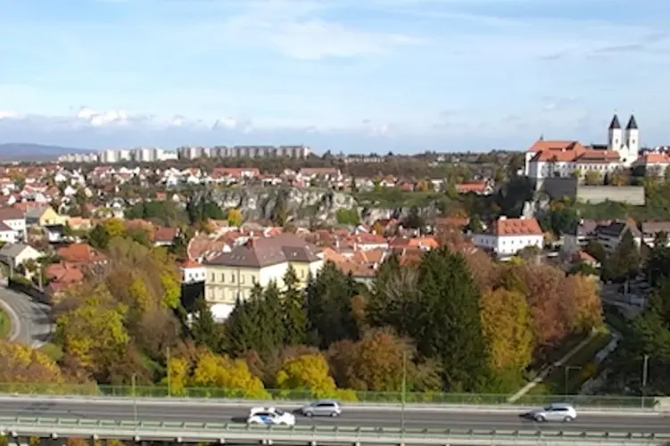 Drug-like substance found in Veszprém driver's bag