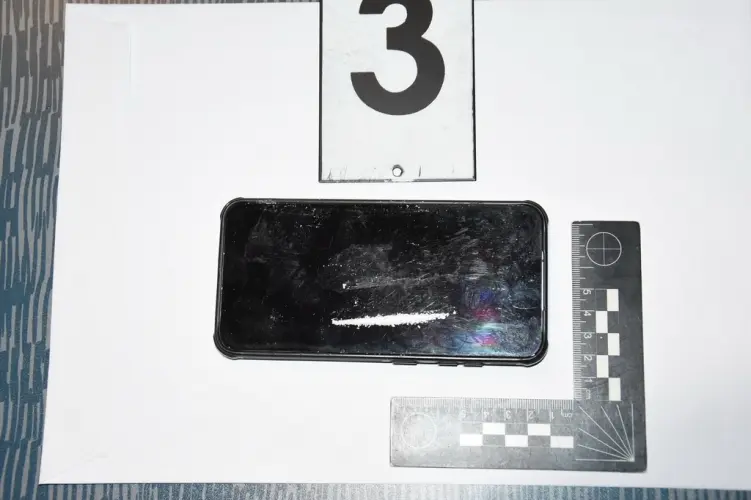 Two young people arrested on suspicion of drug trafficking in Veszprém