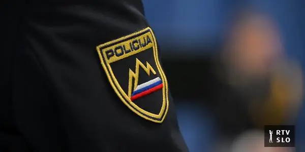 Driver in Kočevju seriously injured police officer, then crashed into wall