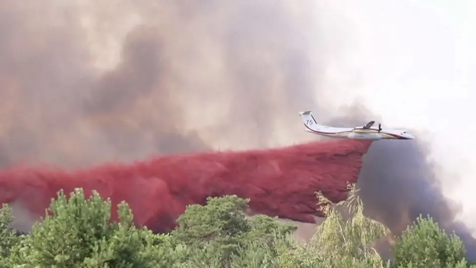 Incendie de Fontainebleau : la piste criminelle privilégiée
