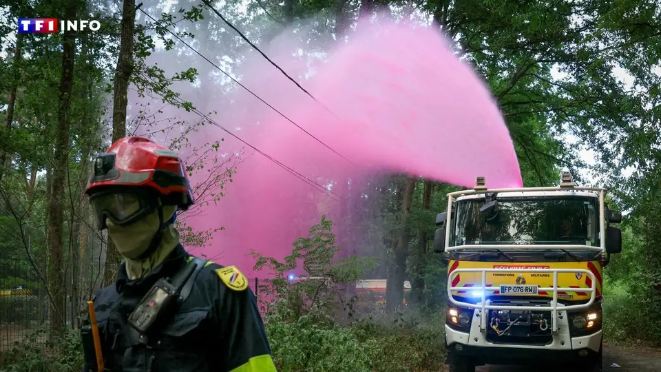 Deux suspects arrêtés après l'incendie de la forêt de Fontainebleau