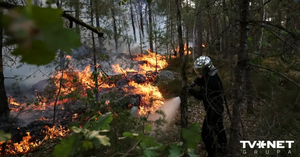 Two suspected arson fires in Fontainebleau forest: 18-year-old arrested