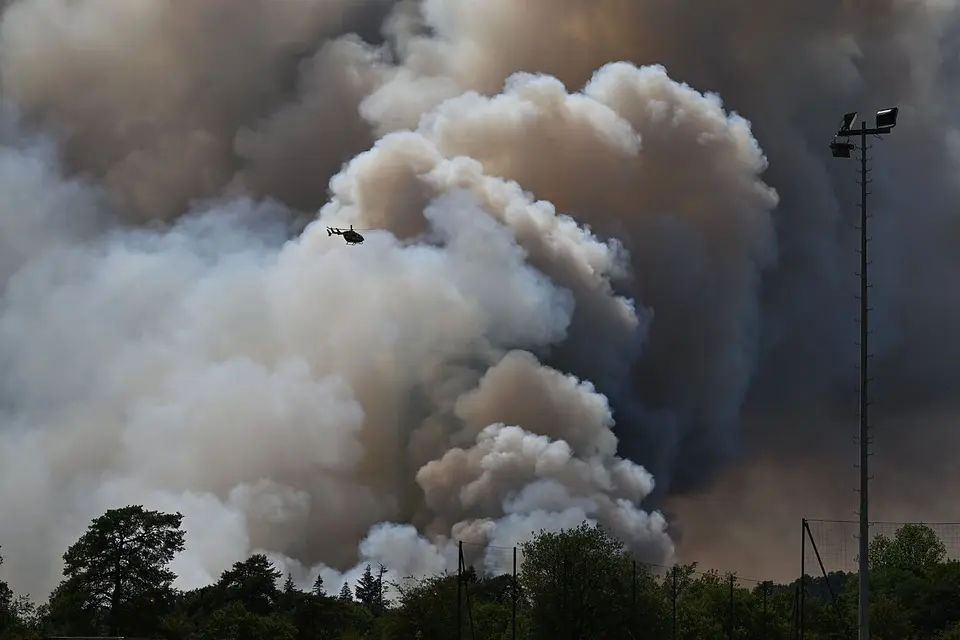 Two suspects arrested after forest fires near Paris destroyed over 1,300 hectares