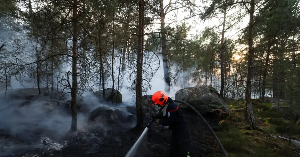 Fontainebleau forest fire: 59 arrests for arson, 12,000 hectares ravaged