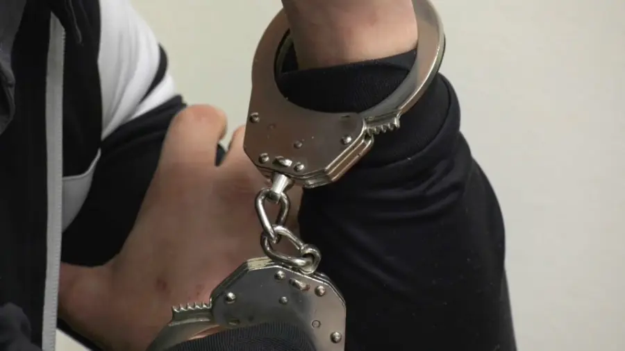 23-year-old from Jelenia Góra arrested. Suspected of defrauding 1.8 million zloty