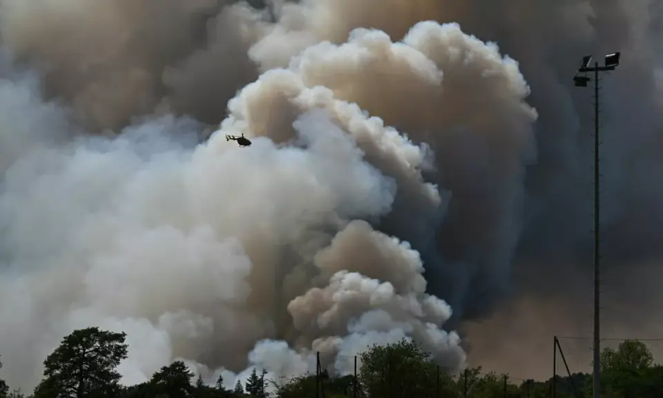 Incendie de forêt à Fontainebleau : deux suspects interpellés pour incendie volontaire