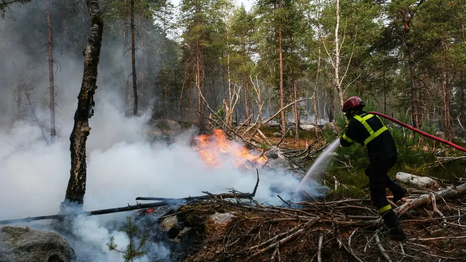 Multiple arrests following Fontainebleau forest fires