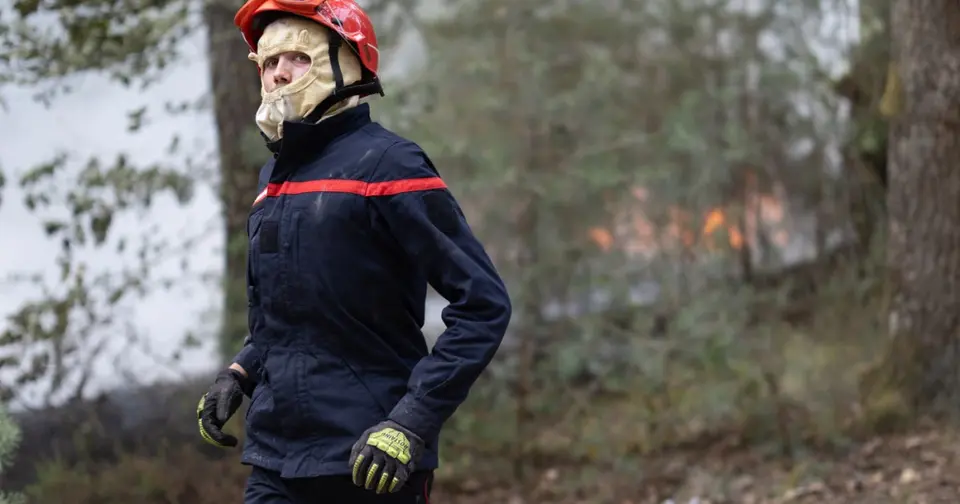 Six interpellations après les incendies criminels de la forêt de Fontainebleau